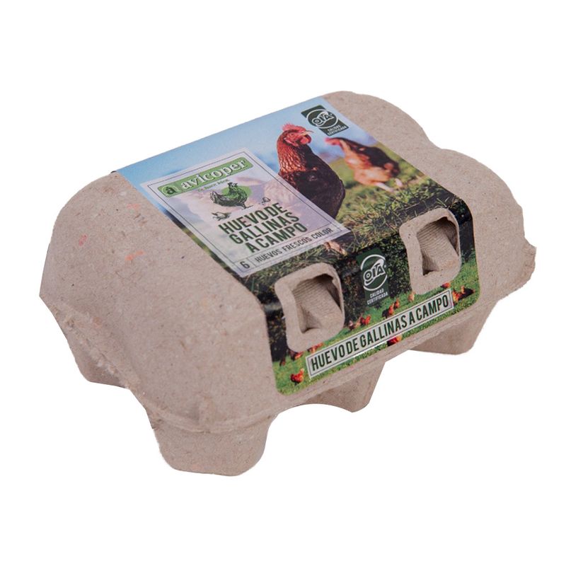 Huevos-Color-Avicoper-Gallinas-A-Campo-6-U-0779233500130-1