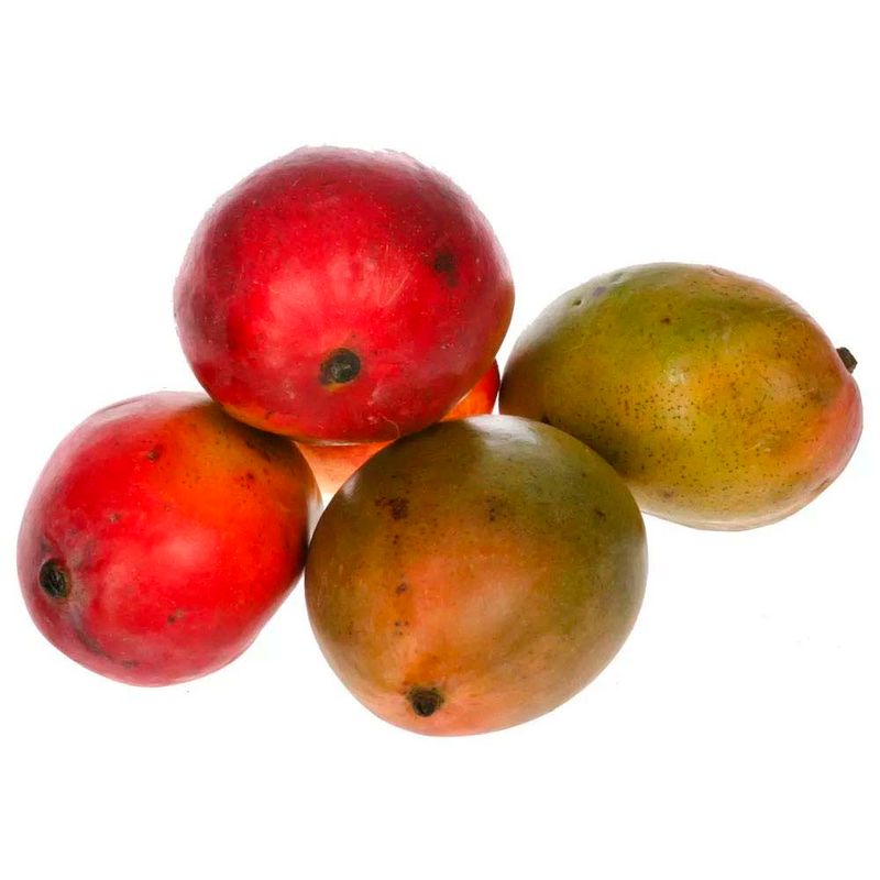 Mango-300-G-0274959000000-1