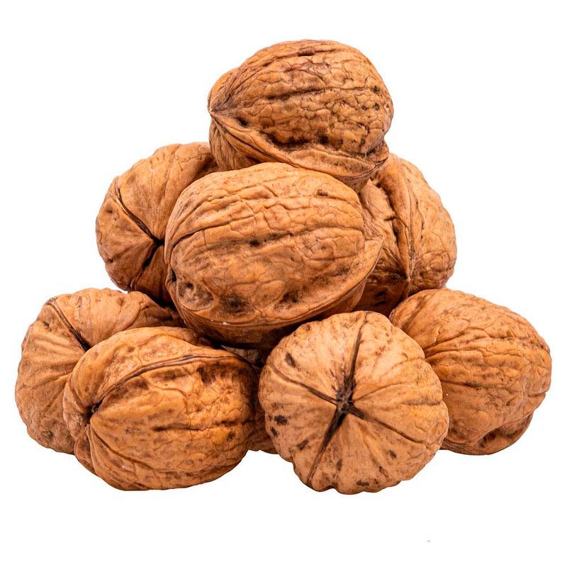 Nuez-100-G-0272055000000-3