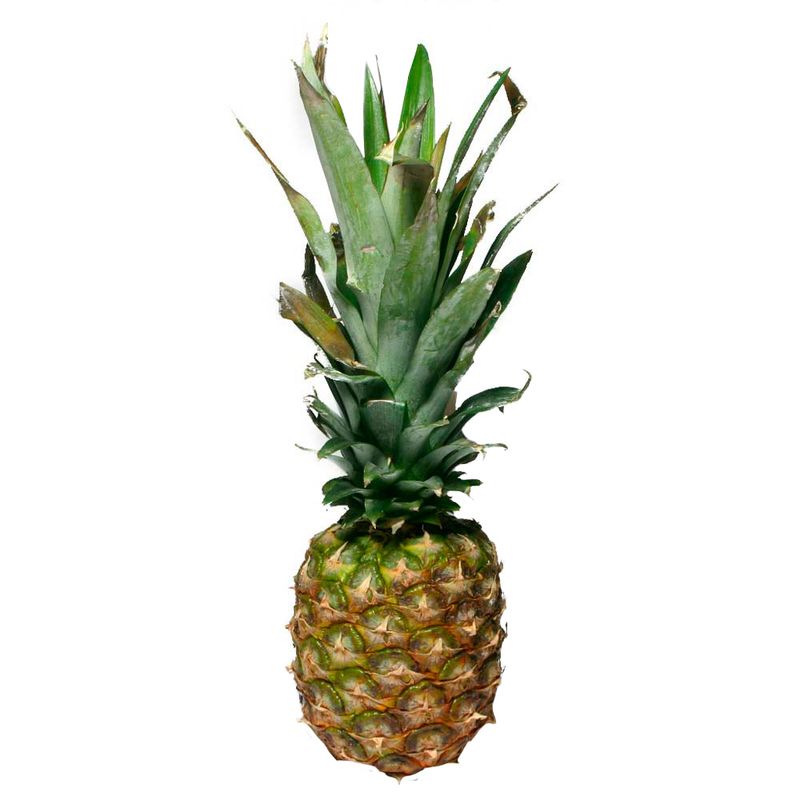 Pi-a-1-5-Kg-0274430000000-1