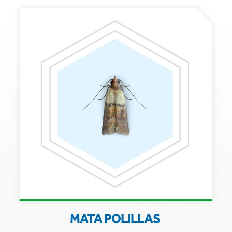 Insecticida-Raid-Mata-Polillas-Y-Larvas-En-Aerosol-360cc-0779052002571-6