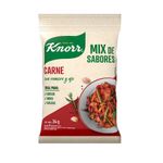 Condimento-Knorr-Mix-De-Sabor-Para-Carne-24-G-0779400000913-1