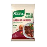 Condimento-Knorr-Mix-De-Sabor-Barbacoa-24-G-0779400000919-1