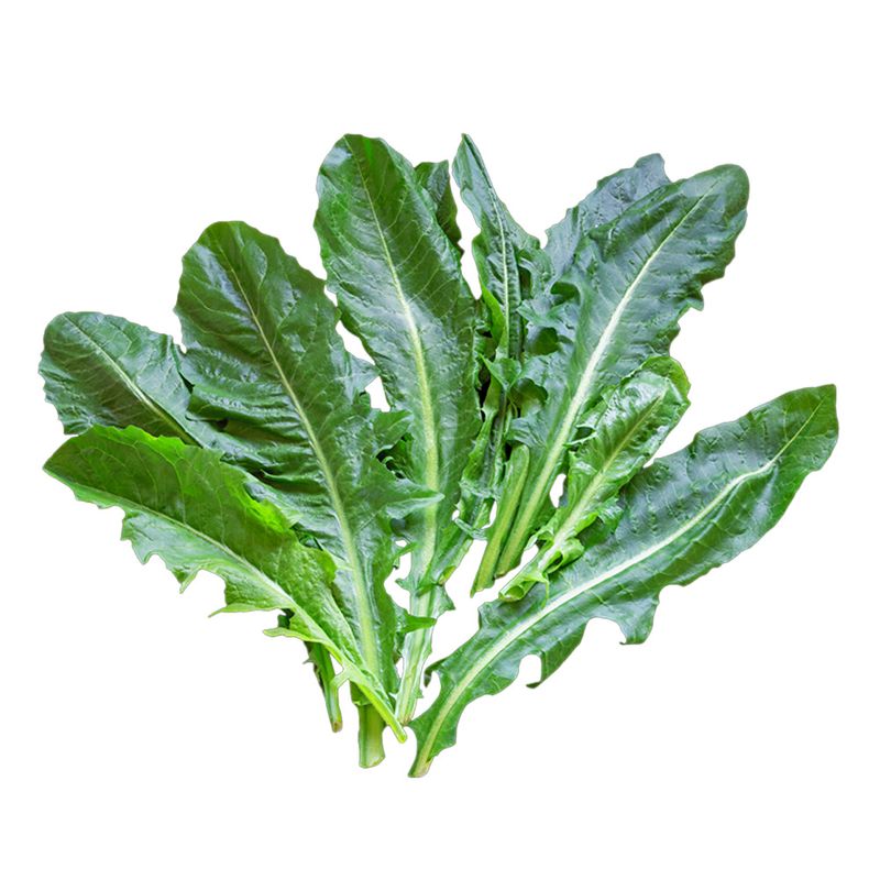 0284639000000-1.jpg