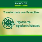 Jab-n-L-quido-Palmolive-Naturals-Camelia-200-Ml-0789102403288-5