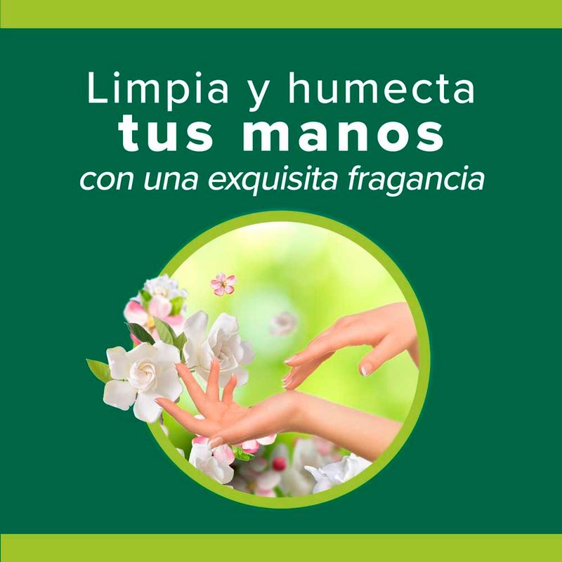 Jab-n-L-quido-Palmolive-Naturals-Camelia-200-Ml-0789102403288-8
