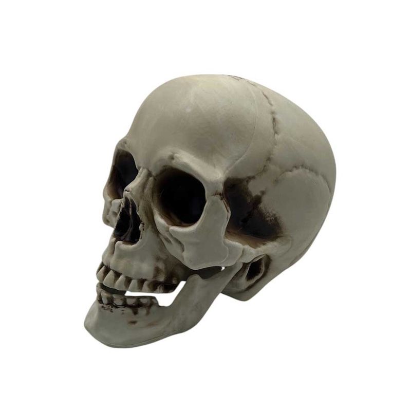 0004000540038-03
